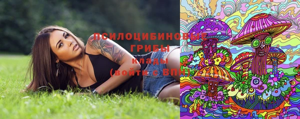 дурь Армянск
