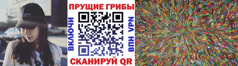 Псилоцибиновые грибы Psilocybine cubensis  Новоульяновск 